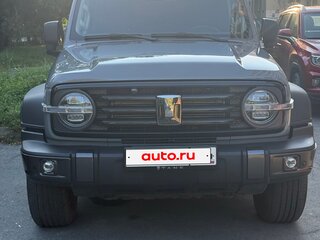 2023 Tank 300 I, серый, 3380000 рублей, вид 2