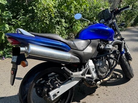 2002 Honda CB 600F Hornet, синий, 329000 рублей, вид 3
