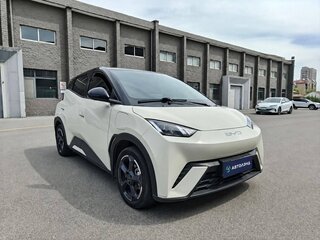 2023 BYD Seagull 30.08 kWh I, белый, 1310000 рублей, вид 2