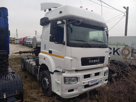 2021 КамАЗ 5490, белый, 1643850 рублей, вид 2