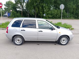 2009 Lada (ВАЗ) Kalina I, серебристый, 250000 рублей, вид 4