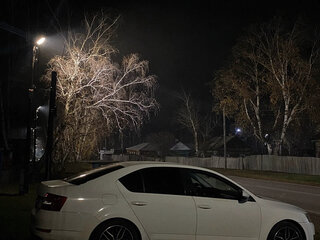 2015 Skoda Octavia III (A7), белый, 800000 рублей, вид 2