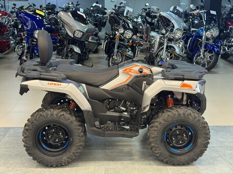 2022 Loncin XWolf 300, серебристый, 320000 рублей, вид 5