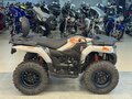2022 Loncin XWolf 300, серебристый, 320000 рублей - вид 4