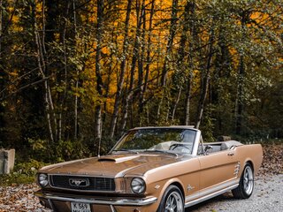 1966 Ford Mustang I, золотистый, 12500000 рублей, вид 2