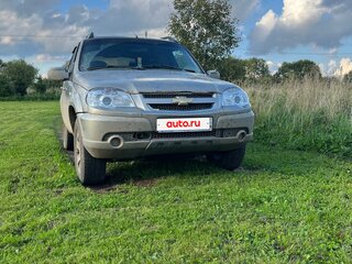 2011 Chevrolet Niva I Рестайлинг, серый, 320000 рублей, вид 3