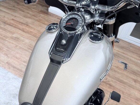 2018 Harley-Davidson Sport Glide, бежевый, 1499000 рублей - вид 25