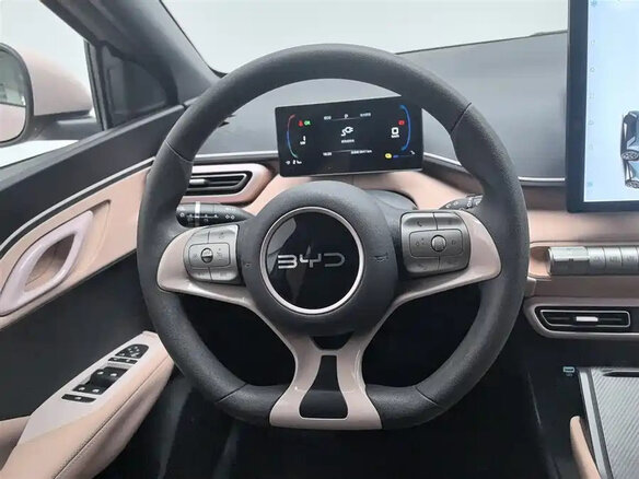 2024 BYD Seagull 30.08 kWh I, розовый - вид 10