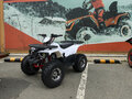 2026 Tao Motor Hunter 125, белый, 97300 рублей