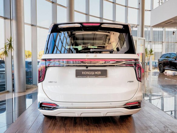 2025 Hongqi HQ9, белый, 7350000 рублей - вид 11