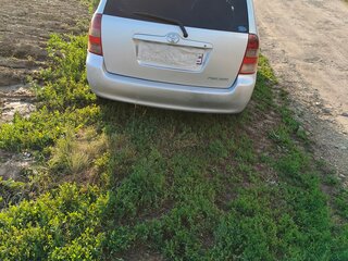2003 Toyota Corolla Fielder IX (E120, E130), серый, 470000 рублей, вид 5