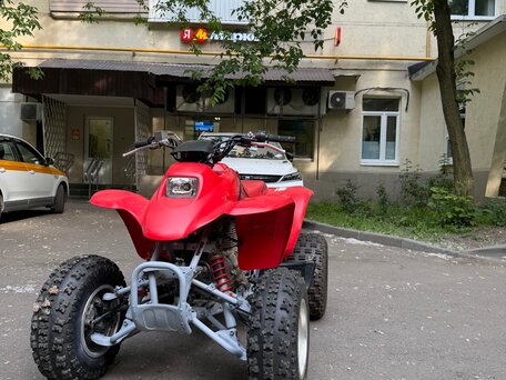 2005 Honda TRX 250, красный, 220000 рублей, вид 1