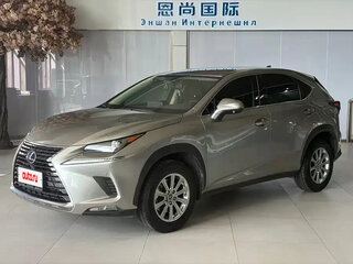 2021 Lexus NX 200 I Рестайлинг, золотистый, 2500000 рублей, вид 1