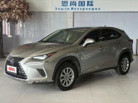 2021 Lexus NX 200 I Рестайлинг, золотистый, 2500000 рублей, вид 1