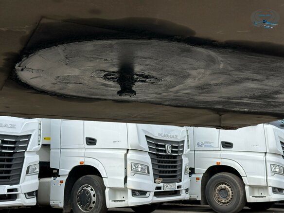 2017 Schmitz Cargobull SKO, белый, 4900000 рублей - вид 9