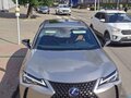 2021 Lexus UX 300e I, серый - вид 7
