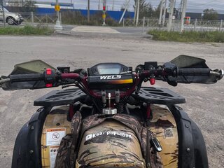 2025 Wels Thunder 200, зелёный, 235000 рублей, вид 4