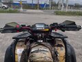 2025 Wels Thunder 200, зелёный, 235000 рублей - вид 3
