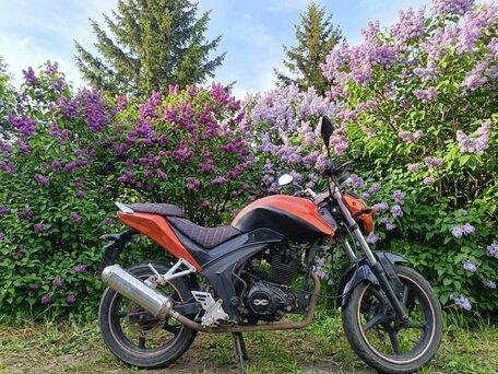 2014 ABM SX 250, оранжевый, 75000 рублей, вид 1
