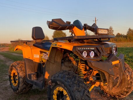 2026 Motoland Wild Track 200, жёлтый, 185000 рублей, вид 3