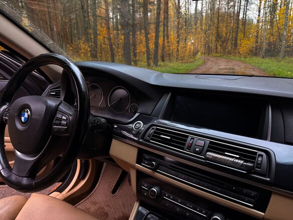 2011 BMW 5 серии 520d VI (F10/F11/F07), серый, 1820000 рублей - вид 20