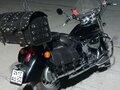 2007 Honda Shadow 750, чёрный, 590000 рублей - вид 1