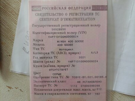 2021 Minsk (Минск) Goose 400, серый, 180000 рублей, вид 2