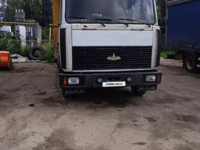 2006 МАЗ 4370, белый, 535000 рублей, вид 3