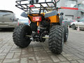 2026 Raptor MAX PRO 250, жёлтый, 231900 рублей - вид 1
