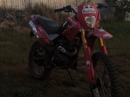 2015 Bars YQ250GY-18V, красный, 80000 рублей, вид 4
