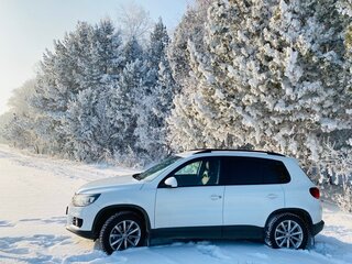 2015 Volkswagen Tiguan I Рестайлинг, белый, 1400000 рублей, вид 1