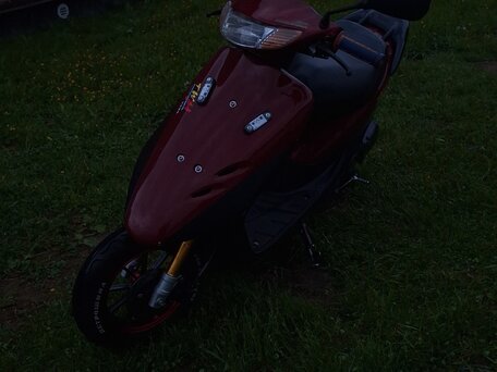 1994 Honda Dio, красный, 65000 рублей, вид 5