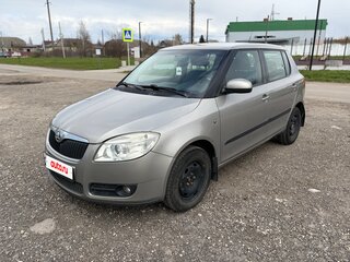 2009 Skoda Fabia II, серый, 495000 рублей, вид 2