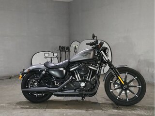 2017 Harley-Davidson Sportster 883, серый, 940000 рублей, вид 1