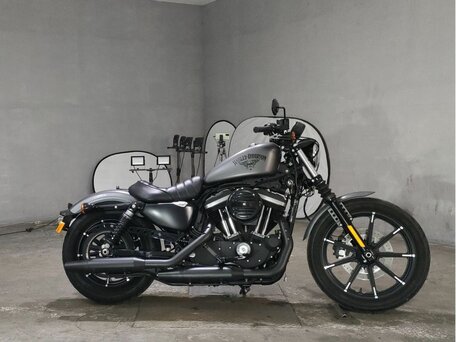2017 Harley-Davidson Sportster 883, серый, 940000 рублей, вид 1
