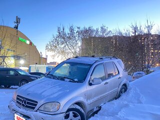 2001 Mercedes-Benz M-Класс AMG 55 AMG I (W163), серый, 990000 рублей, вид 1