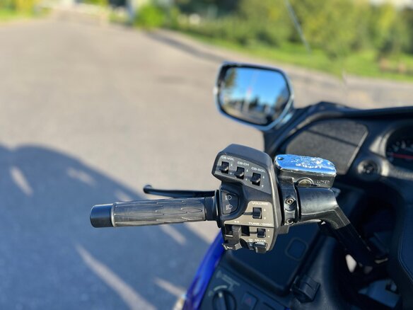 2002 Honda GL 1800 Gold Wing, синий - вид 13