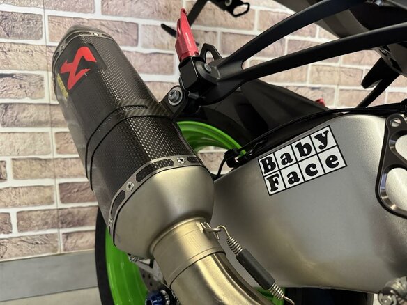 2024 Kawasaki ZX-6 Ninja, белый, 1295000 рублей - вид 18