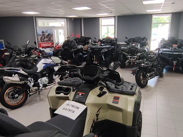 2026 Loncin XWolf 1000, бежевый, 1164000 рублей - вид 8