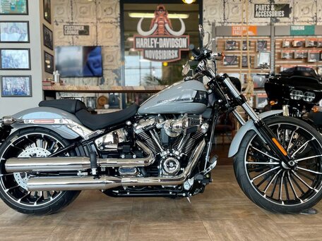 2024 Harley-Davidson Breakout, серый, 3300000 рублей, вид 1