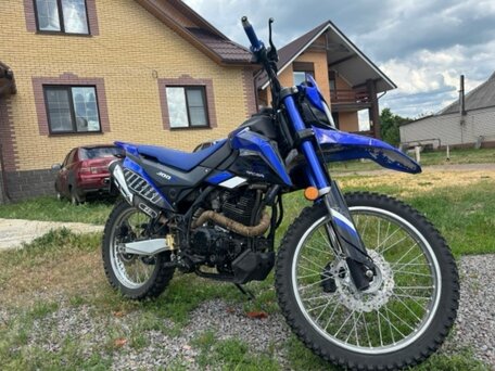 2020 Racer RC300B-F Panther PRO, синий, 143000 рублей, вид 1