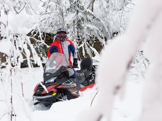 2025 AODES (Odes) Snowcross 1000, красный, 999000 рублей, вид 4