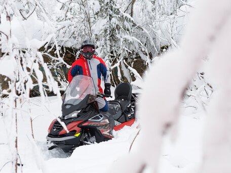 2025 AODES (Odes) Snowcross 1000, красный, 999000 рублей, вид 4