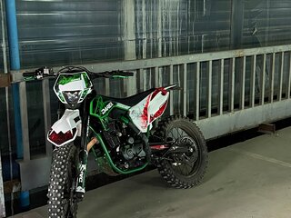 2024 Darex Alga 300, зелёный, 150000 рублей, вид 1