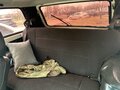 2003 Lada (ВАЗ) 2121 (4x4) I Рестайлинг, белый, 230000 рублей - вид 5