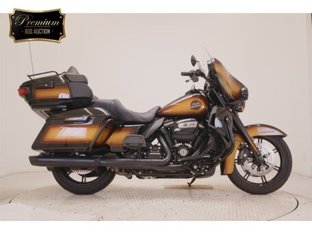 2024 Harley-Davidson Ultra Limited, коричневый, 2950000 рублей, вид 1