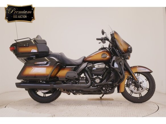 2024 Harley-Davidson Ultra Limited, коричневый