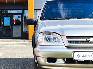 2008 Chevrolet Niva I, серебристый, 249842 рублей, вид 5