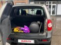 2019 Chevrolet Niva I Рестайлинг, серый, 650000 рублей - вид 10
