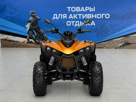 2026 Cectek KINGCOBRA, жёлтый, 530200 рублей, вид 4